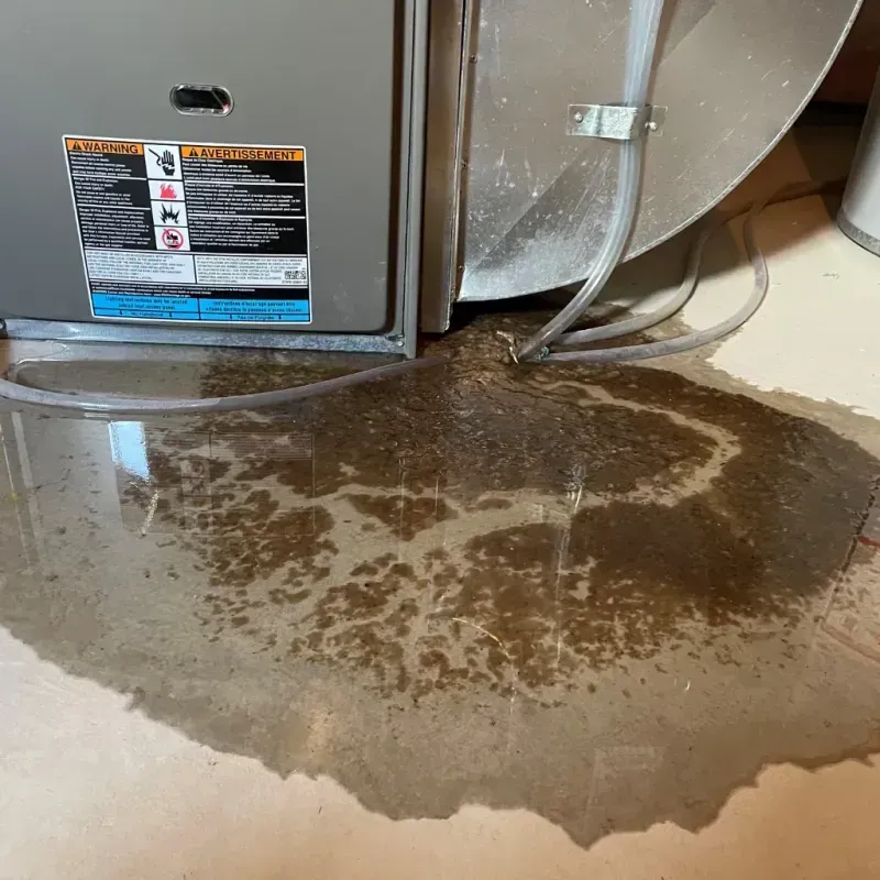 Appliance Leak Cleanup in Inyo County, CA